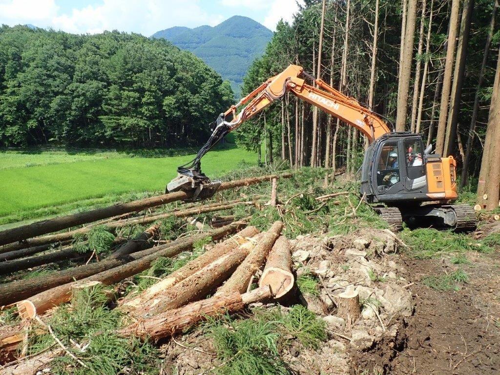 販売部門 皆伐施業