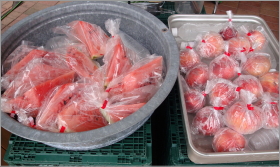 「旬のカットフルーツ　どれでも１００円！」