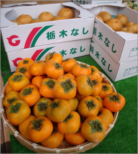 「旬のカットフルーツ　どれでも１００円！」