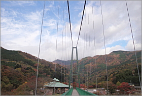 「森林の駅　もみじ谷大吊橋と紅葉　2011年11月10日」