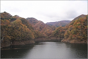「森林の駅　塩原渓谷箒川と紅葉　2011年11月10日」