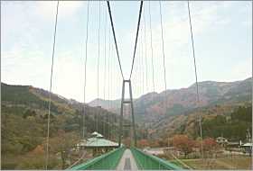 「森林の駅　もみじ谷大吊橋と紅葉　2011年11月18日」