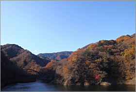 「森林の駅　対岸公園からの紅葉　2011年11月25日」
