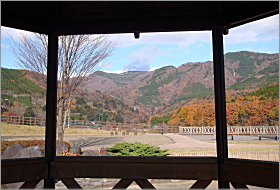 「森林の駅　対岸公園から紅葉　2011年11月25日」