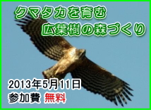 「クマタカを育む広葉樹の森づくり　2013年5月11日(土)」