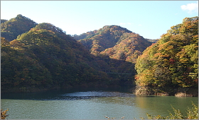 「いよいよ見ごろ・・・絶景絶景！」
