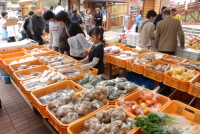 物産店・直売所風景