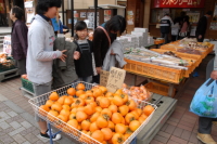 物産店・直売所風景