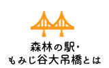 森林の駅・もみじ谷大吊橋とは