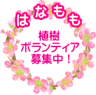 花桃植樹ボランティア募集