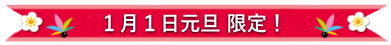 1月1日元旦限定！