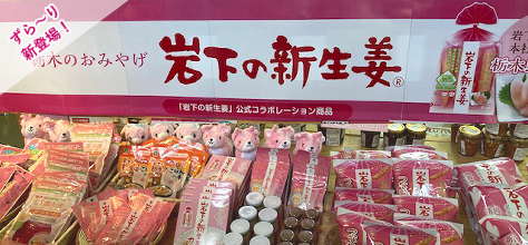 「岩下の新生姜」新登場！
