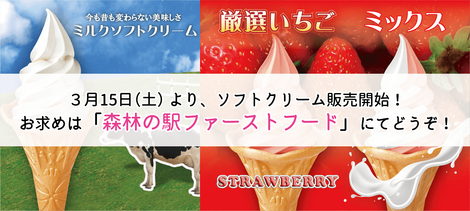 ソフトクリーム販売のご案内