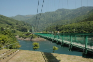 もみじ谷大吊橋 夏