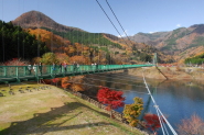 もみじ谷大吊橋 秋