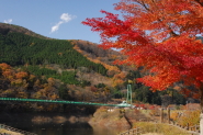 もみじ谷大吊橋 秋